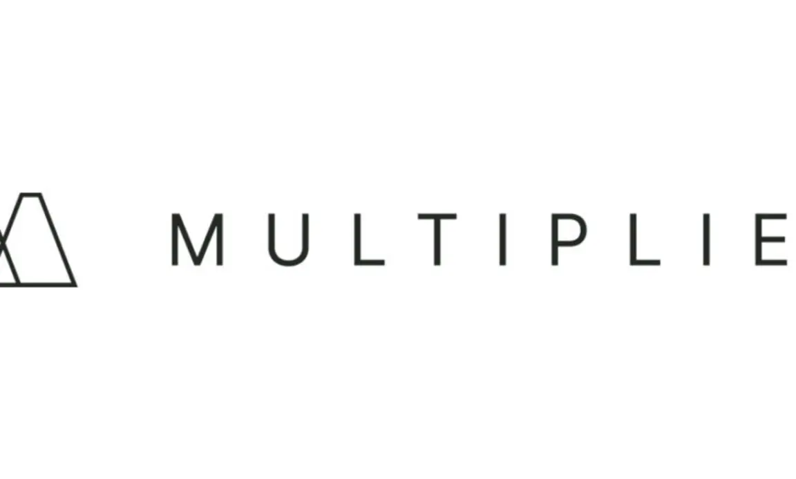 Multiplier AI professional services logo and branding