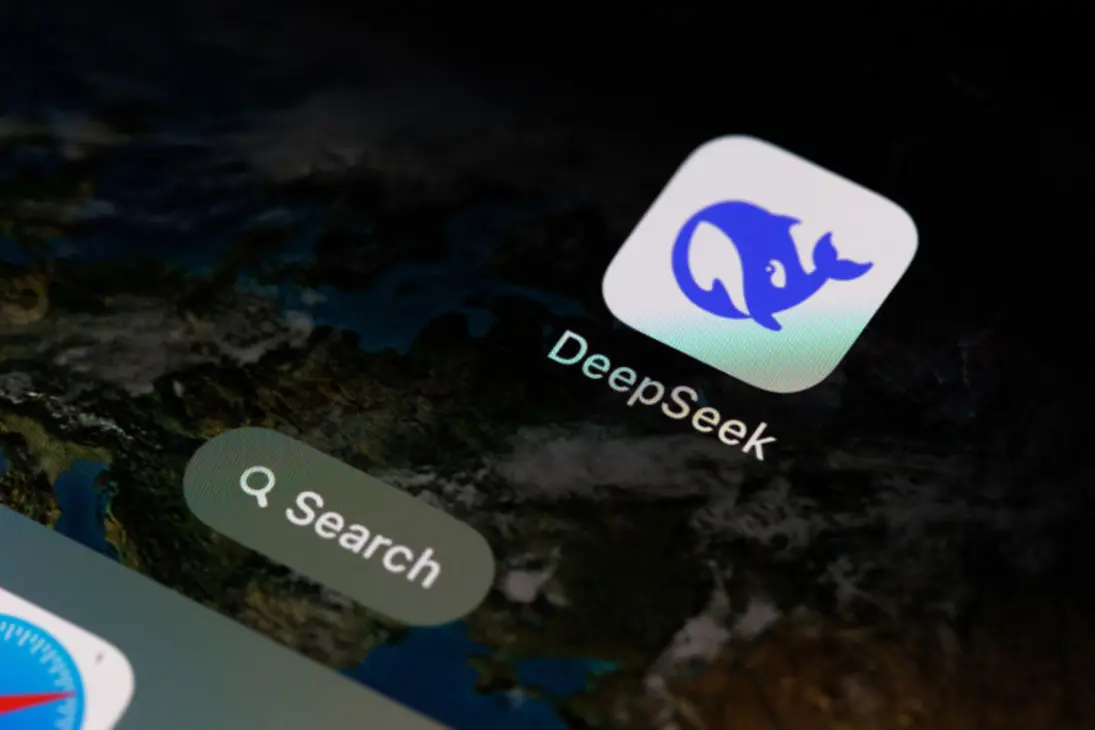 DeepSeek model visual representation