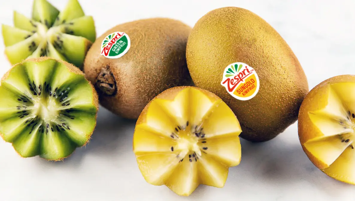 Green and gold kiwi fruits closeup