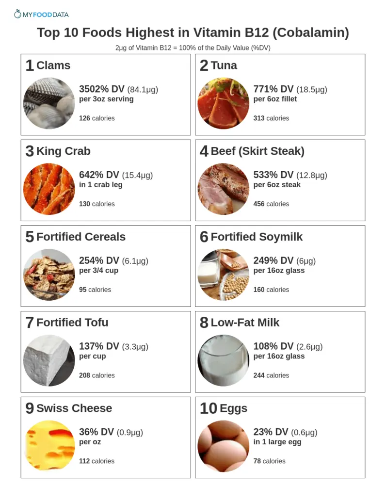 Food items high in Vitamin B12